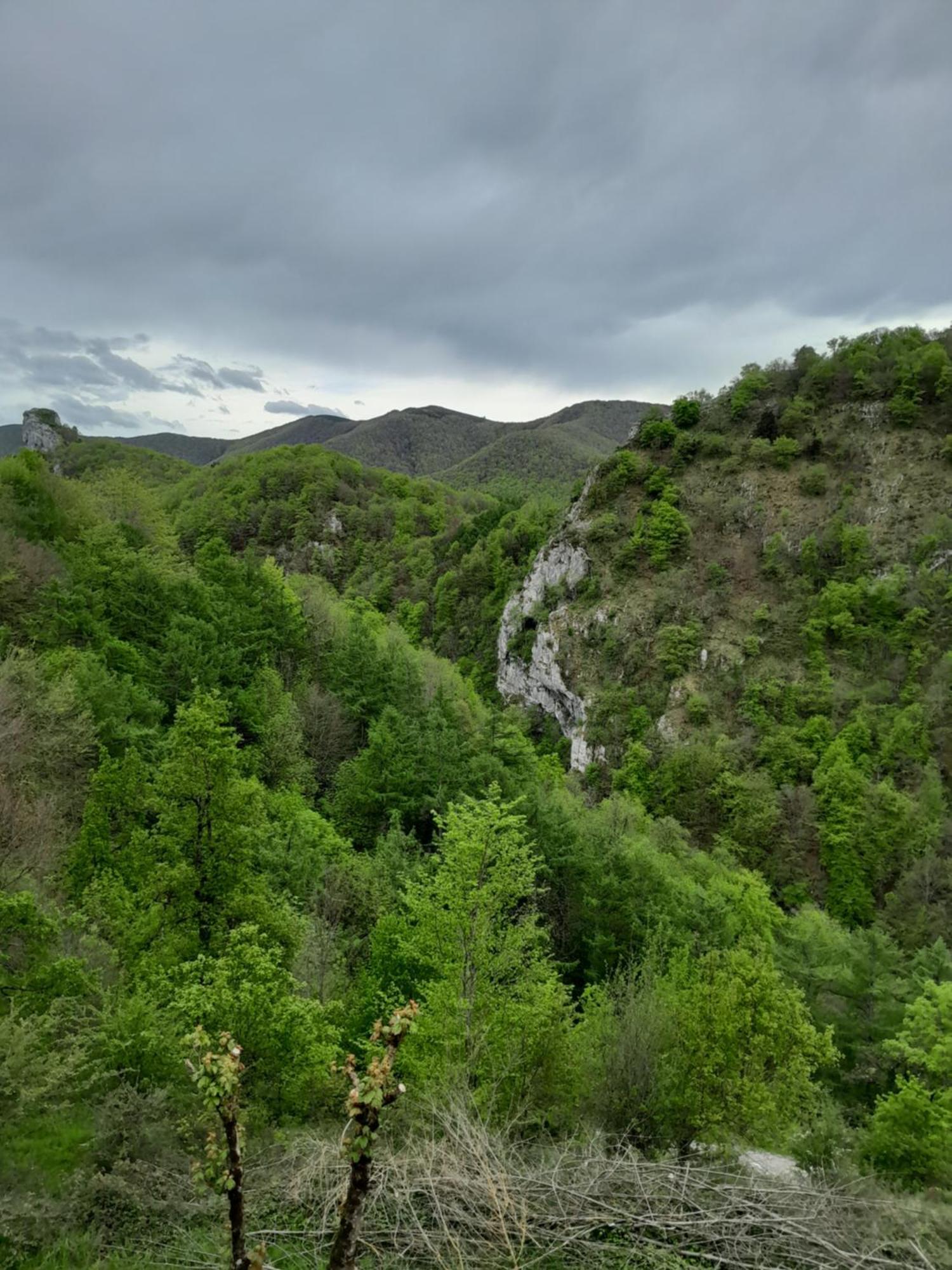 Casa Rural Aingeru Naturaleza Y Montana Oñate Eksteriør billede